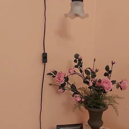 City-ferienwohnungen-dresden - Zentral Gelegen Im Haus Louisenstrasse 11 - Dresden-neustadt