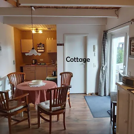 City-ferienwohnungen-dresden - Zentral Gelegen Im Haus Louisenstrasse 11 - Dresden-neustadt