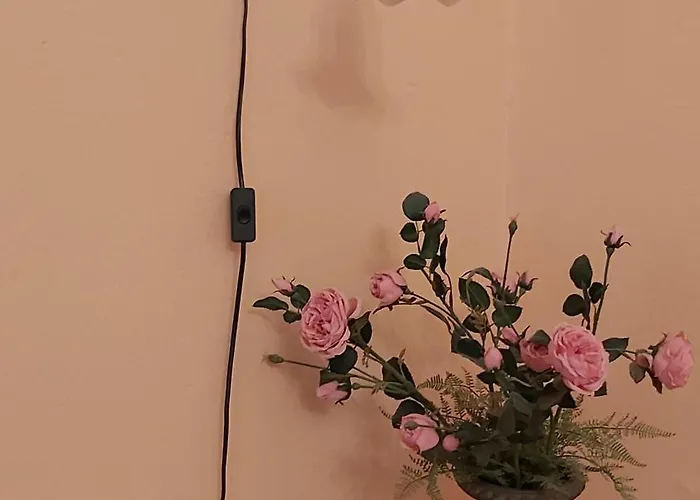 City-ferienwohnungen-dresden - Zentral Gelegen Im Haus Louisenstrasse 11 - Dresden-neustadt