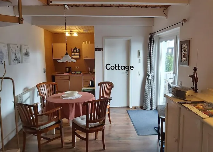 City-ferienwohnungen-dresden - Zentral Gelegen Im Haus Louisenstrasse 11 - Dresden-neustadt